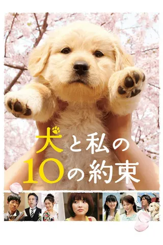 10 Promises to My Dog afişi
