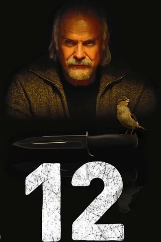 Görsel: TMDB 12 afişi