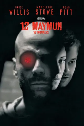 12 Maymun afişi