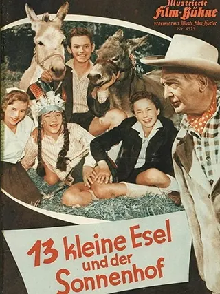 13 kleine Esel und der Sonnenhof afişi
