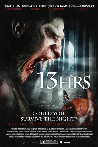 Görsel: TMDB 13Hrs afişi