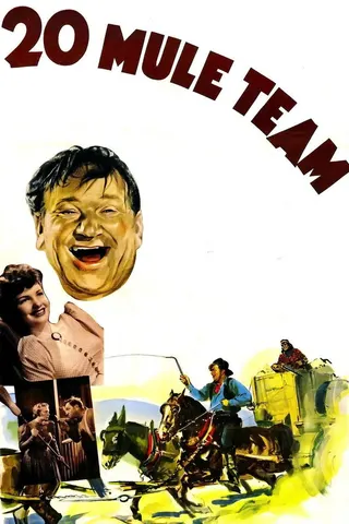 Görsel: TMDB 20 Mule Team afişi