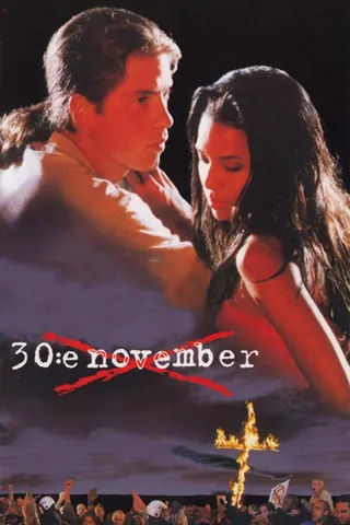 30:e november afişi