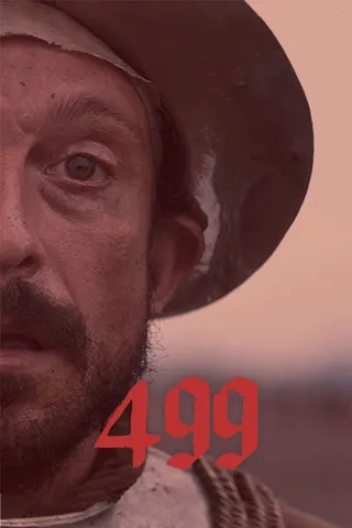 499 afişi