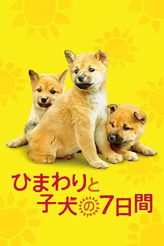 7 Days Of Himawari Her Puppies afişi