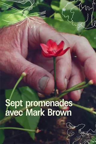 Görsel: TMDB 7 Walks with Mark Brown afişi