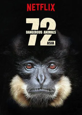 Görsel: TMDB 72 Dangerous Animals: Asia afişi