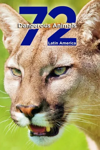 Görsel: TMDB 72 Dangerous Animals: Latin America afişi