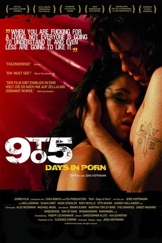 9to5 – Days in Porn afişi