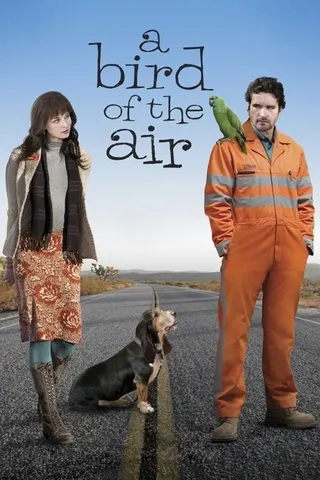A Bird of the Air afişi