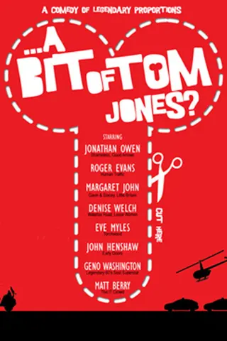 Görsel: TMDB A Bit of Tom Jones? afişi