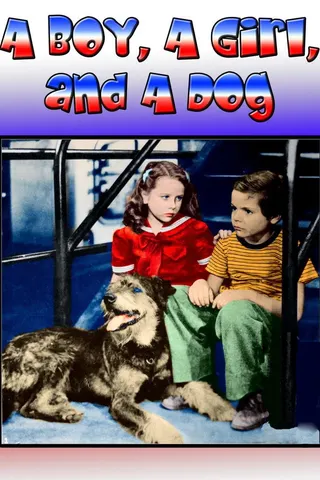 Görsel: TMDB A Boy, a Girl and a Dog afişi