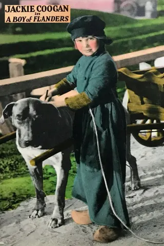 Görsel: TMDB A Boy of Flanders afişi