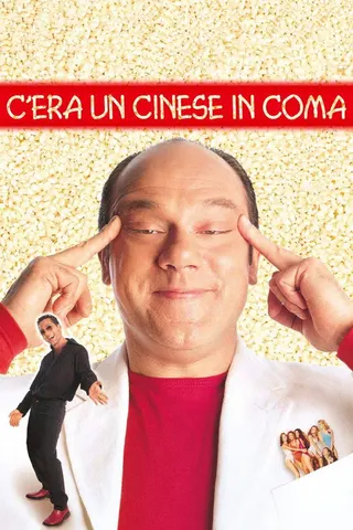 A Chinese in a Coma afişi