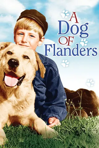Görsel: TMDB A Dog of Flanders afişi