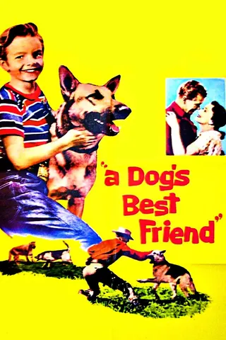 Görsel: TMDB A Dog's Best Friend afişi