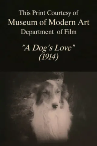 Görsel: TMDB A Dog's Love afişi