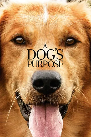A Dog's Purpose afişi