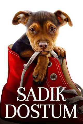 A Dog's Way Home afişi