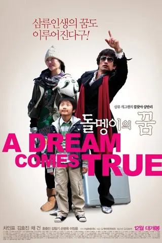A Dream Comes True afişi