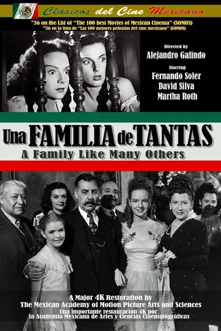 Görsel: TMDB A Family Like Many Others afişi