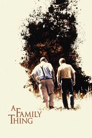 Görsel: TMDB A Family Thing afişi