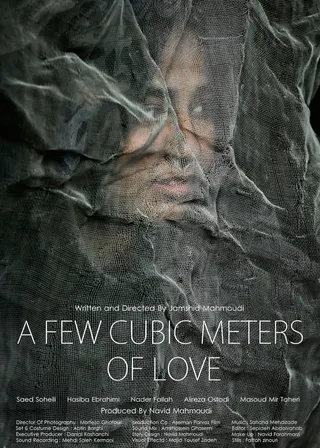 A Few Cubic Meters of Love afişi