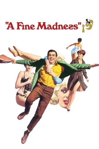 Görsel: TMDB A Fine Madness afişi