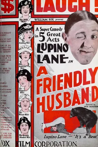 A Friendly Husband afişi
