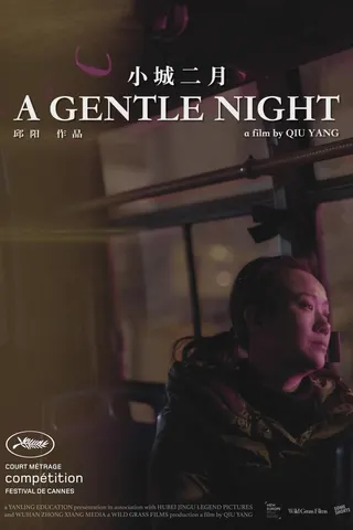 A Gentle Night afişi
