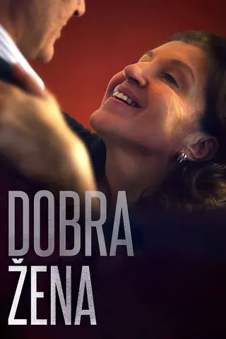 Görsel: TMDB A Good Wife afişi