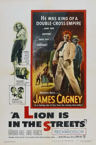 A Lion Is in the Streets afişi