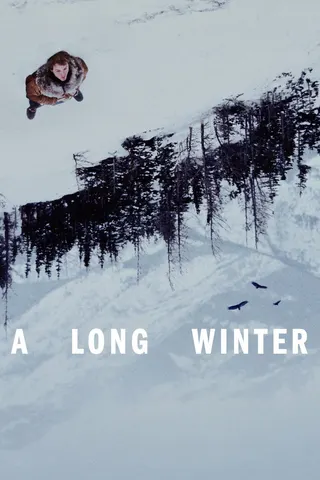 A Long Winter afişi