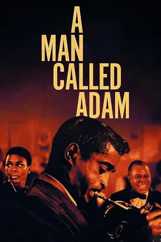 A Man Called Adam afişi