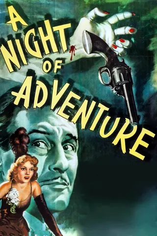 A Night of Adventure afişi
