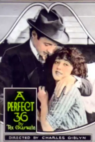 Görsel: TMDB A Perfect 36 afişi