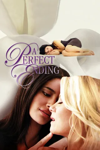 Görsel: TMDB A Perfect Ending afişi