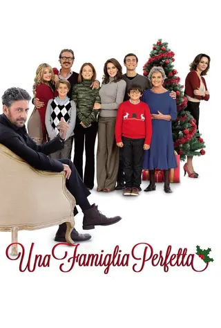 A Perfect Family afişi