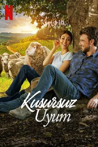 A Perfect Pairing afişi