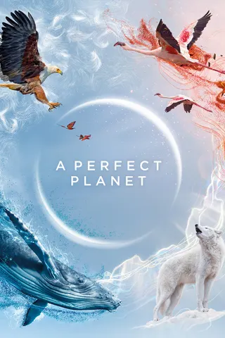 Görsel: TMDB A Perfect Planet afişi