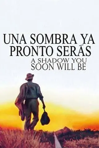 Görsel: TMDB A Shadow You Soon Will Be afişi