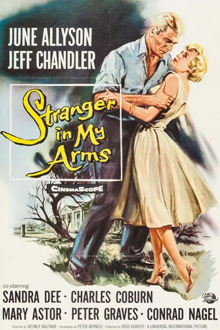 Görsel: TMDB A Stranger in My Arms afişi