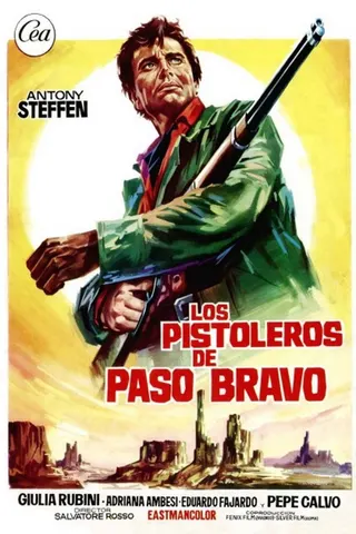 Görsel: TMDB A Stranger in Paso Bravo afişi
