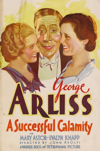 A Successful Calamity afişi