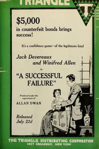 A Successful Failure afişi