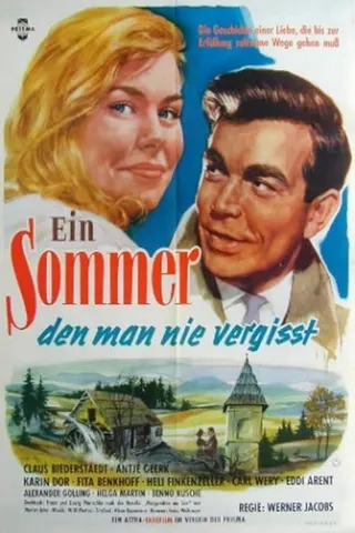 Görsel: TMDB A Summer You Will Never Forget afişi
