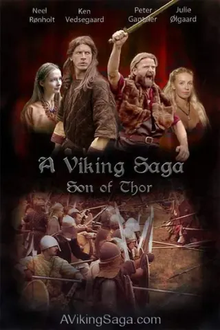 A Viking Saga afişi