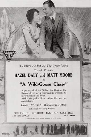 Görsel: TMDB A Wild Goose Chase afişi