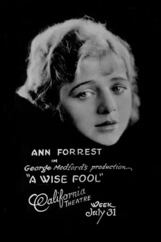Görsel: TMDB A Wise Fool afişi