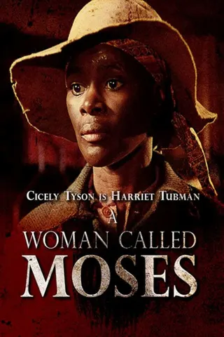 Görsel: TMDB A Woman Called Moses afişi
